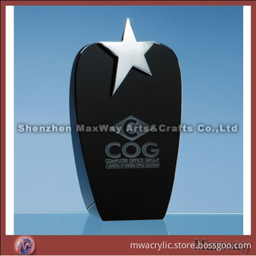 Black Oval Silver Star Acrylic Award